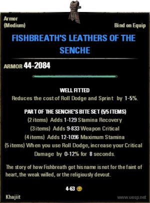 ON-item-Fishbreath's Leathers of the Senche.jpg