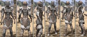 ON-item-armor-Rawhide-f-Scalecaller Style.jpg