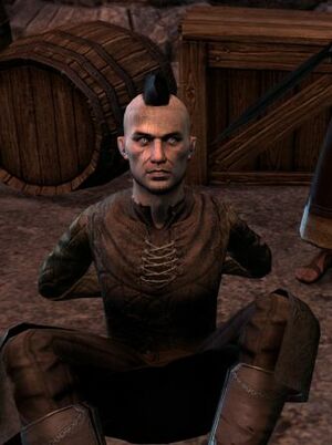 ON-npc-Scaevola Calvisius.jpg