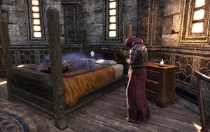 ON-place-Emeric's Dream.jpg