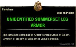 ON-item-Unidentified Summerset Leg Armor.jpg