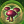 ON-icon-skill-Green Balance-Enchanted Growth.png