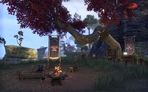 ON-place-Eastshore Islets Camp 01.jpg