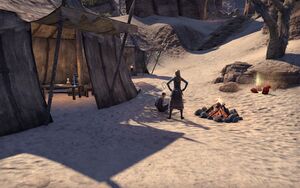 ON-place-Tongues of Stone 10.jpg