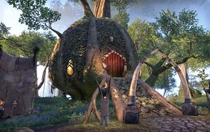 ON-place-Treethane Rolon's House.jpg