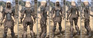 ON-item-armor-Rawhide-f-Ebonshadow Style.jpg