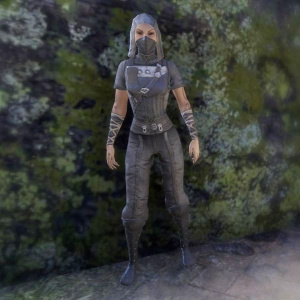 ON-costume-Crafty Lerisa's Thief Outfit (Female).jpg