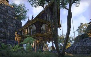 ON-place-Five Claws.jpg