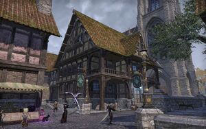 ON-place-Mages Guild (Leyawiin).jpg