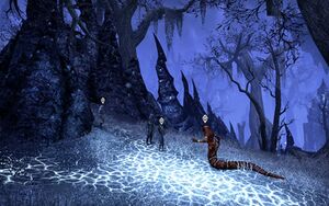 ON-item-quest-Into the Woods 04.jpg