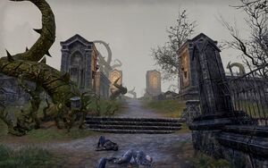 ON-place-Cath Bedraud 02.jpg