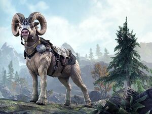 ON-mount-Yorgrim River Ram.jpg