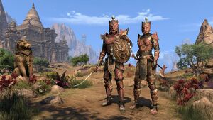 ON-item-armor-Anequina Style.jpg