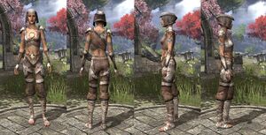 ON-item-armor-Rawhide-Bosmer-Female.jpg