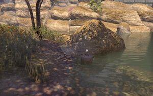 ON-quest-Over the Edge 02.jpg