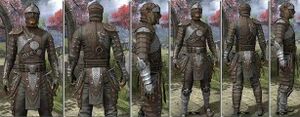 ON-item-armor-Rawhide-m-Mercenary Style.jpg