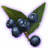 ON-icon-misc-Onyx Berries of Budding.png