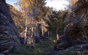 ON-place-Jerall Mountains Logging Track.jpg