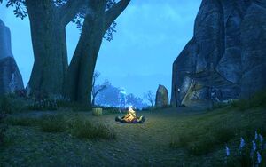 ON-place-The Heart of the Beast 14.jpg