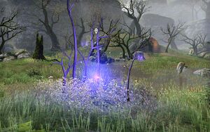 ON-quest-Ripple Effect 05.jpg