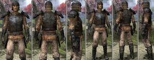 ON-item-Heavy Armor-Soul-Shriven-Male.jpg