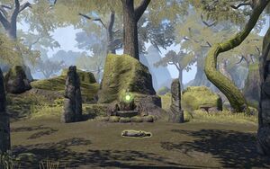 ON-place-Treehenge 02.jpg