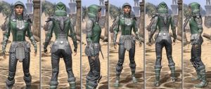 ON-item-armor-Homespun-m-Silver Dawn Style.jpg