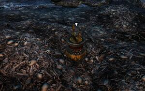 ON-quest-Spiritual Release.jpg