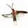 ON-icon-reagent-Torchbug Thorax.png