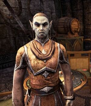 ON-npc-Valdam Andoren.jpg