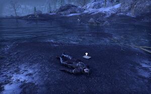 ON-quest-Lost Along the Shore 02.jpg