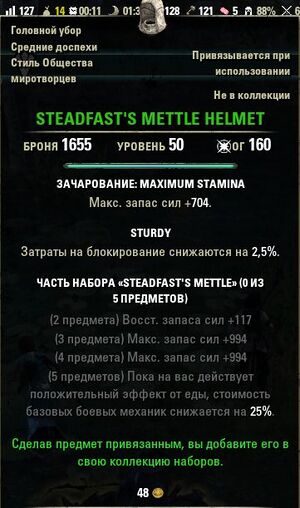 ON-item-STEADFAST’S METTLE HELMET.jpg