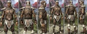 ON-item-armor-Rawhide-m-Altmer Style.jpg