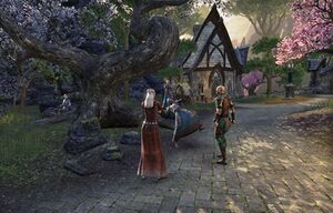 ON-quest-A Village Awakened 03.jpg