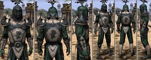 ON-item-armor-Homespun-m-Daggerfall Covenant.jpg