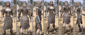 ON-item-armor-Rawhide-f-Psijic Style.jpg