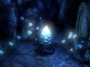 ON-item-quest-Poison's Sting 07.jpg