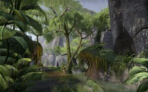 ON-place-The Hunting Grounds (Malabal-Tor) 02.jpg