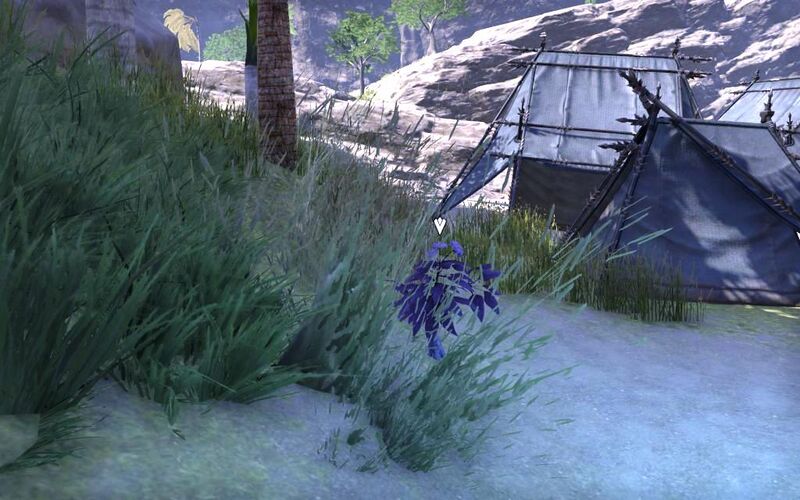 Файл:ON-quest-Tides of the Heart 09.jpg