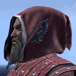 ON-hat-Alliance Rider Hood (Pact).jpg