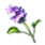 ON-icon-reagent-Water Hyacinth.png