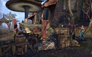 ON-quest-A Charitable Contribution (Deep Winter) 03.jpg