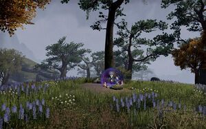 ON-quest-Scamp Invasion 03.jpg