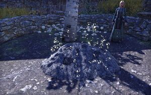 ON-quest-The Antiquarian's Art.jpg