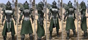 ON-item-armor-Homespun-f-Ebony Style.jpg