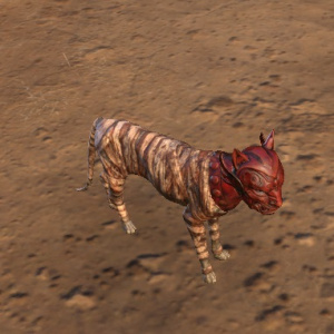 ON-pet-Grisly Mummy Tabby.jpg