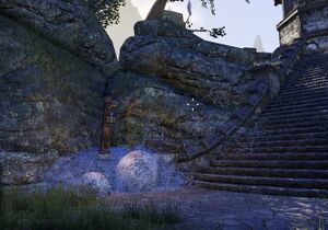 ON-place-Spider Nest 01.jpg