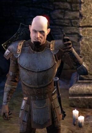 ON-npc-Sir Pierre Ginsen.jpg