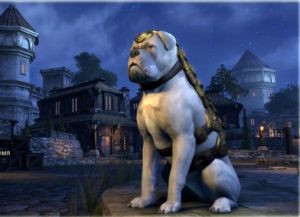 ON-pet-Imperial War Mastiff.jpg