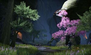 ON-interier-Saltspray Cave 02.jpg